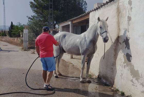 Venta -  -
Monóvar