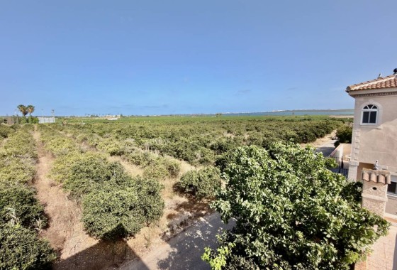 Wiederverkauf - Freistehende Villa -
Ciudad Quesada - Rojales - Doña Pepa