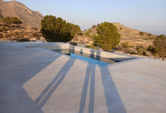 New Build - Detached Villa -
Pinoso - Casas Pastor
