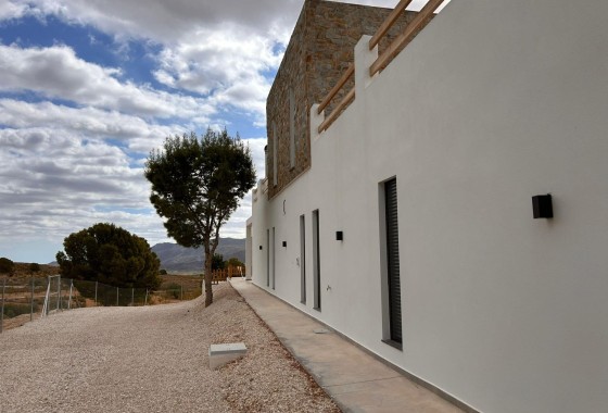 New Build - Detached Villa -
Pinoso - Casas Pastor