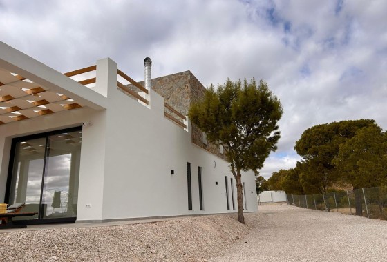 New Build - Detached Villa -
Pinoso - Casas Pastor