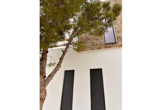 New Build - Detached Villa -
Pinoso - Casas Pastor
