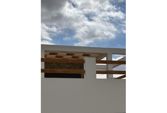 New Build - Detached Villa -
Pinoso - Casas Pastor