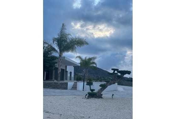 New Build - Detached Villa -
Pinoso - Casas Pastor