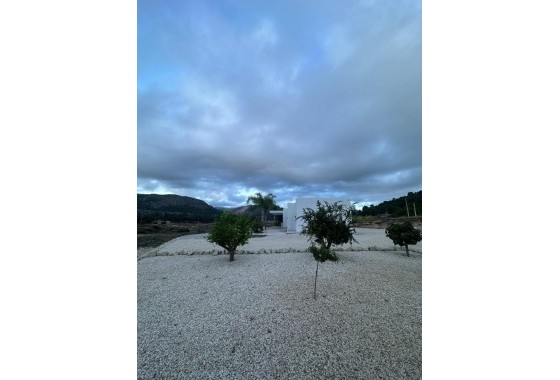 New Build - Detached Villa -
Pinoso - Casas Pastor