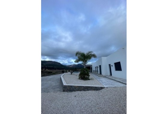New Build - Detached Villa -
Pinoso - Casas Pastor