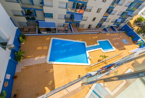 Herverkoop - Appartement / Flat -
Torrevieja - Playa de los Locos