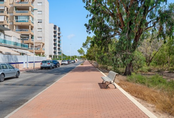 Sprzedaż - Apartament / Mieszkanie -
Guardamar del Segura - Guardamar