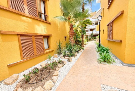 Revente - Appartement -
Punta Prima