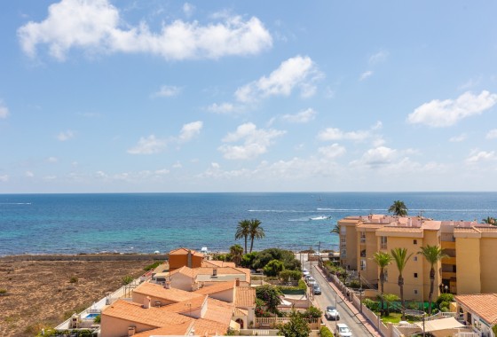 Venta - Apartamento / Piso -
Torrevieja