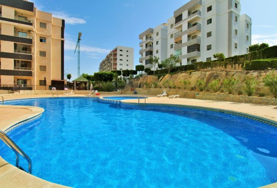 Herverkoop - Appartement / Flat -
San Miguel de Salinas