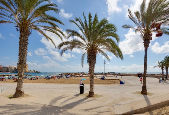 Herverkoop - Appartement / Flat -
Torrevieja
