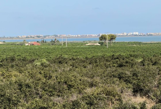 Venta - Chalet Independiente -
Ciudad Quesada - Rojales - Doña Pepa