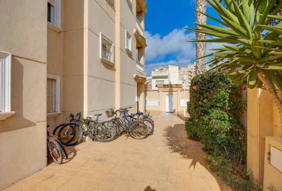 Herverkoop - Appartement / Flat -
Torrevieja - Nueva Torrevieja