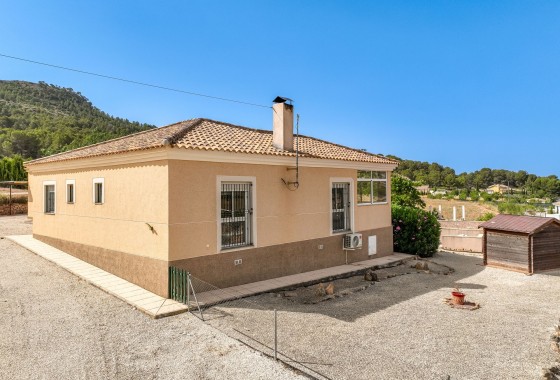 Venta - Chalet Independiente -
Pinoso