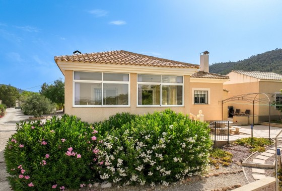 Venta - Chalet Independiente -
Pinoso