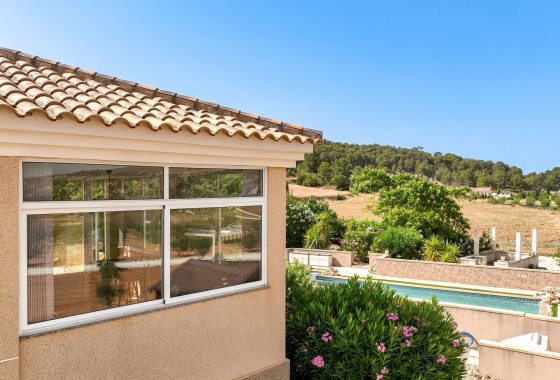 Venta - Chalet Independiente -
Pinoso