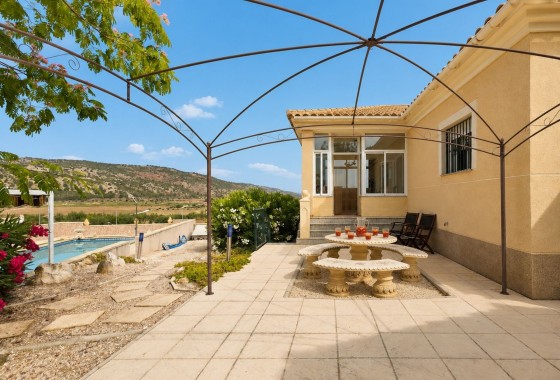 Venta - Chalet Independiente -
Pinoso