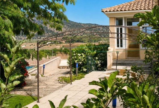 Venta - Chalet Independiente -
Pinoso