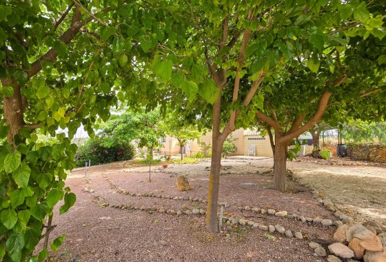 Venta - Chalet Independiente -
Pinoso