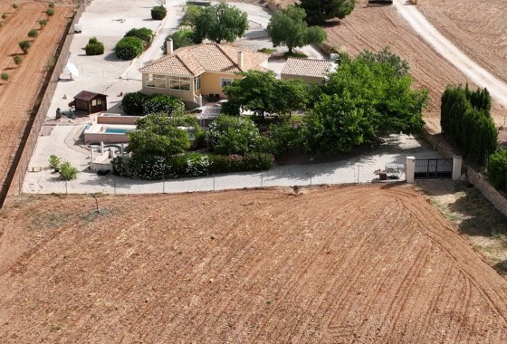 Venta - Chalet Independiente -
Pinoso