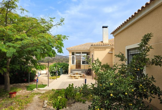 Venta - Chalet Independiente -
Pinoso