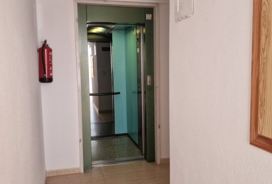 Revente - Appartement -
Guardamar del Segura