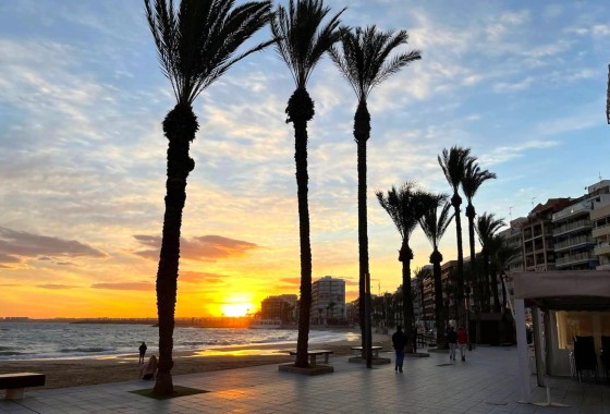 Revente - Appartement -
Torrevieja - Playa del Cura