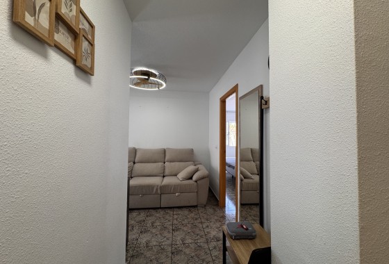 Revente - Finca / Propriété rurale -
Torrevieja