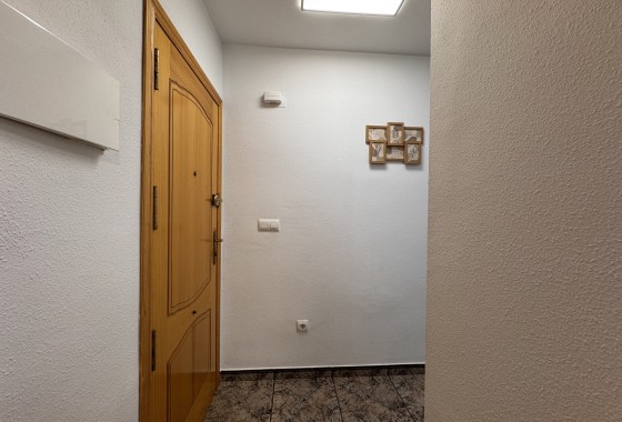 Revente - Finca / Propriété rurale -
Torrevieja