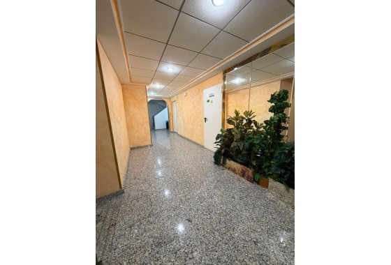 Venta - Apartamento / Piso -
Torrevieja