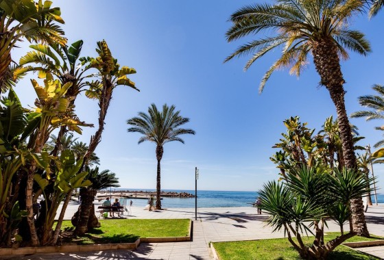 Herverkoop - Appartement / Flat -
Torrevieja