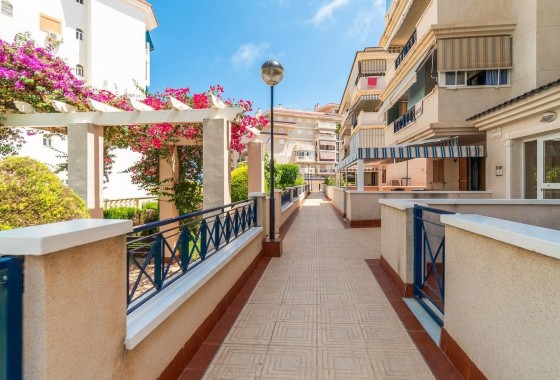 Langzeitmiete - Wohnung / Apartment -
Torrevieja - La Mata