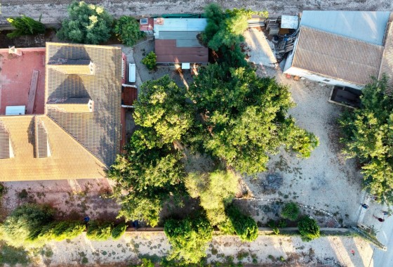 Herverkoop - Finca / Landhuis -
Catral