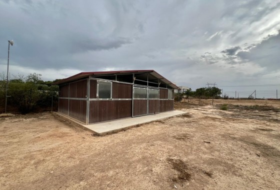 Herverkoop - Finca / Landhuis -
San Fulgencio - San Fulgencio - Country