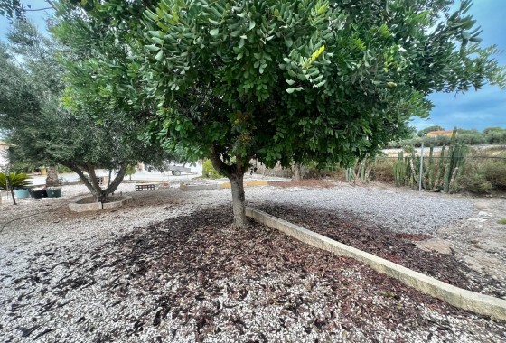 Herverkoop - Finca / Landhuis -
San Fulgencio - San Fulgencio - Country