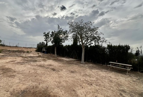 Herverkoop - Finca / Landhuis -
San Fulgencio - San Fulgencio - Country