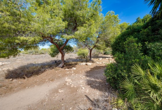 Herverkoop - Rijhuis -
Torrevieja - La Siesta