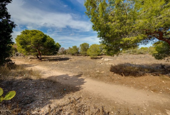 Herverkoop - Rijhuis -
Torrevieja - La Siesta