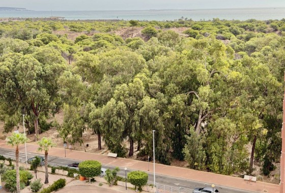 Resale - Apartment / Flat -
Guardamar del Segura