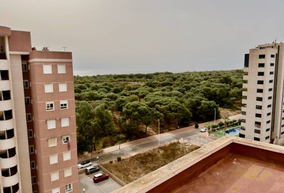 Resale - Apartment / Flat -
Guardamar del Segura