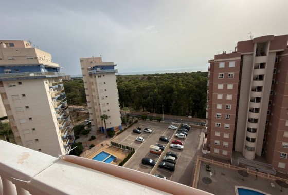 Resale - Apartment / Flat -
Guardamar del Segura