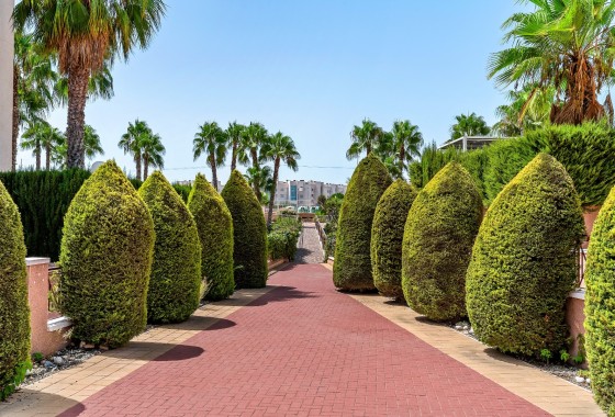 Wiederverkauf - Wohnung / Apartment -
Orihuela Costa - Playa Flamenca