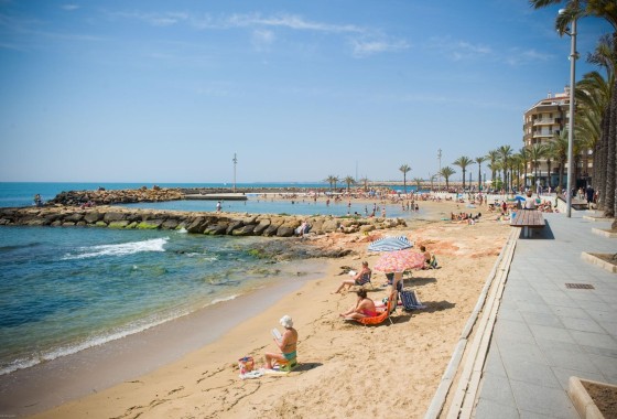 Herverkoop - Appartement / Flat -
Torrevieja - Playa del Cura