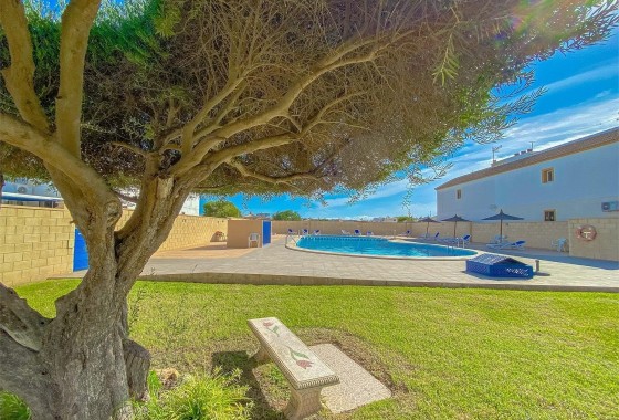 Herverkoop - Appartement / Flat -
Torrevieja - La Siesta