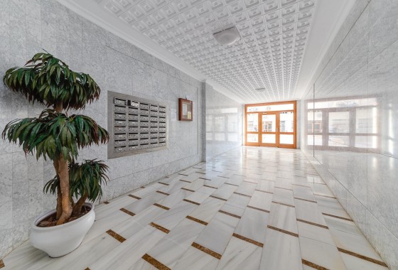 Sprzedaż - Apartament / Mieszkanie -
Torrevieja - Acequion