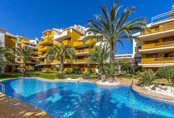 Herverkoop - Appartement / Flat -
Torrevieja
