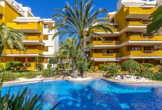Herverkoop - Appartement / Flat -
Torrevieja
