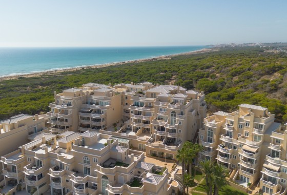 Resale - Apartment / Flat -
Guardamar del Segura