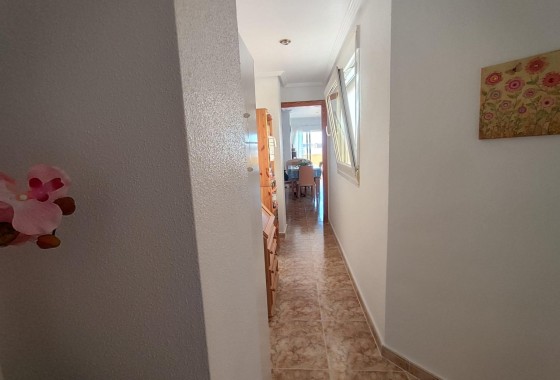 Herverkoop - Appartement / Flat -
Torrevieja - Paseo Maritimo